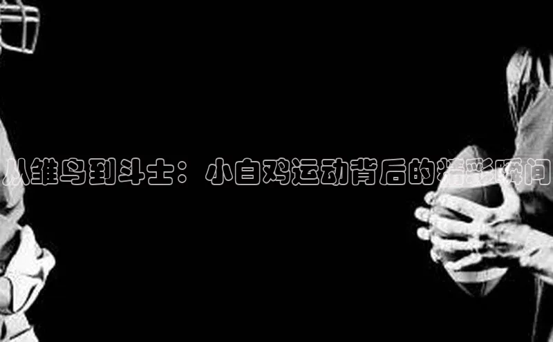 杏悦2定了平台